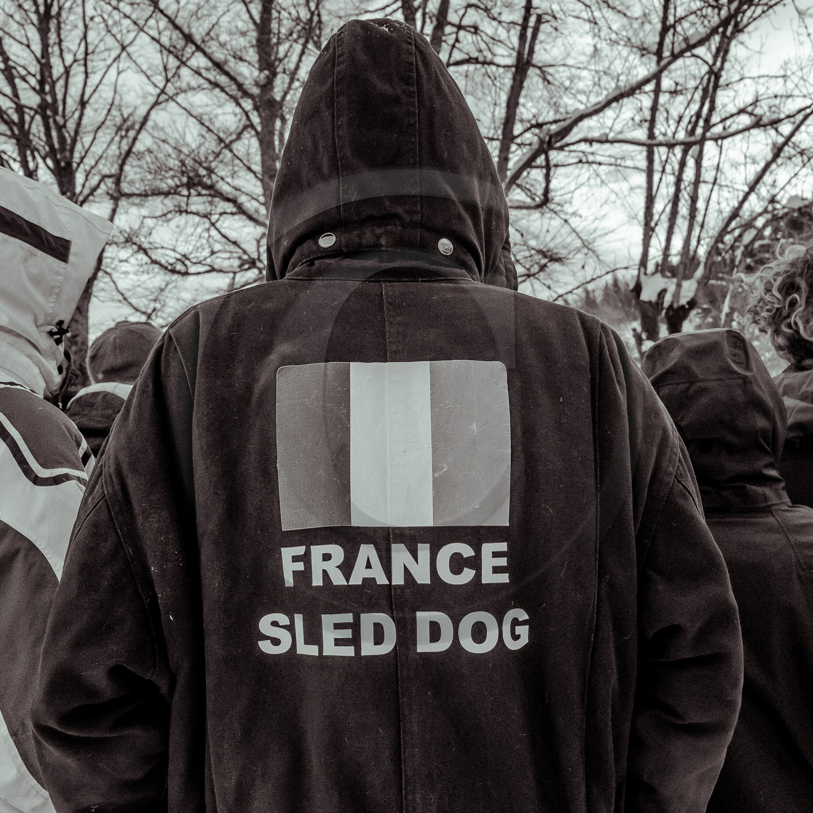 La Valgaude Traineau 2015