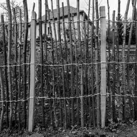 21 avril : jardinage, collages, peinture