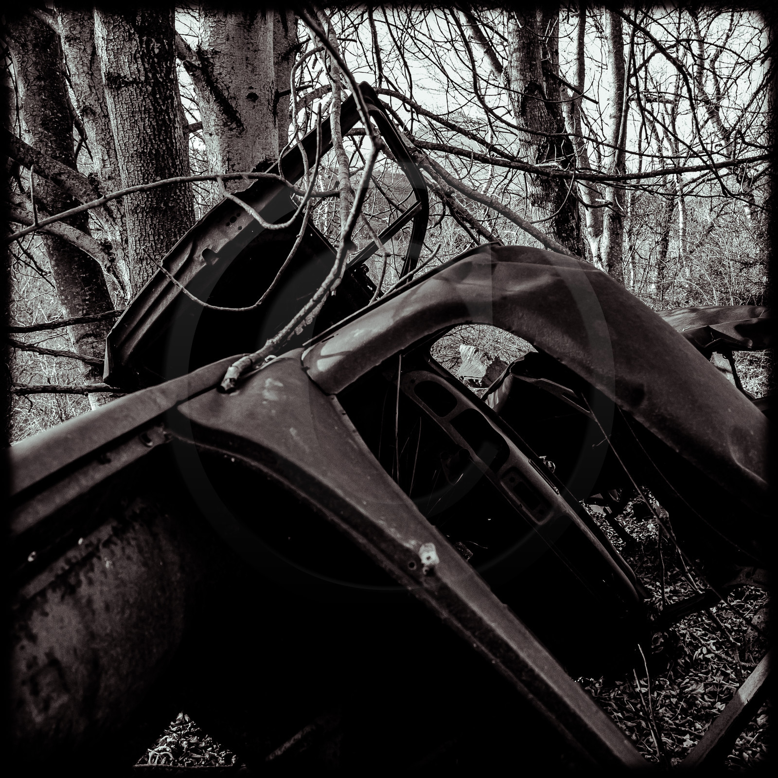 Un cimetière de voitures