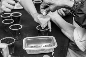 Le Noyer, village champsaurin