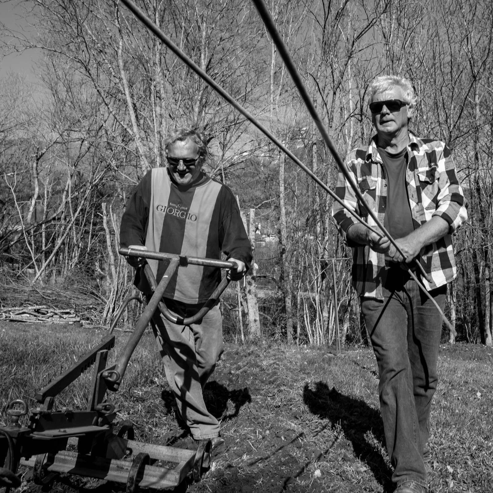 Labour avec un cheval - 17 04 17