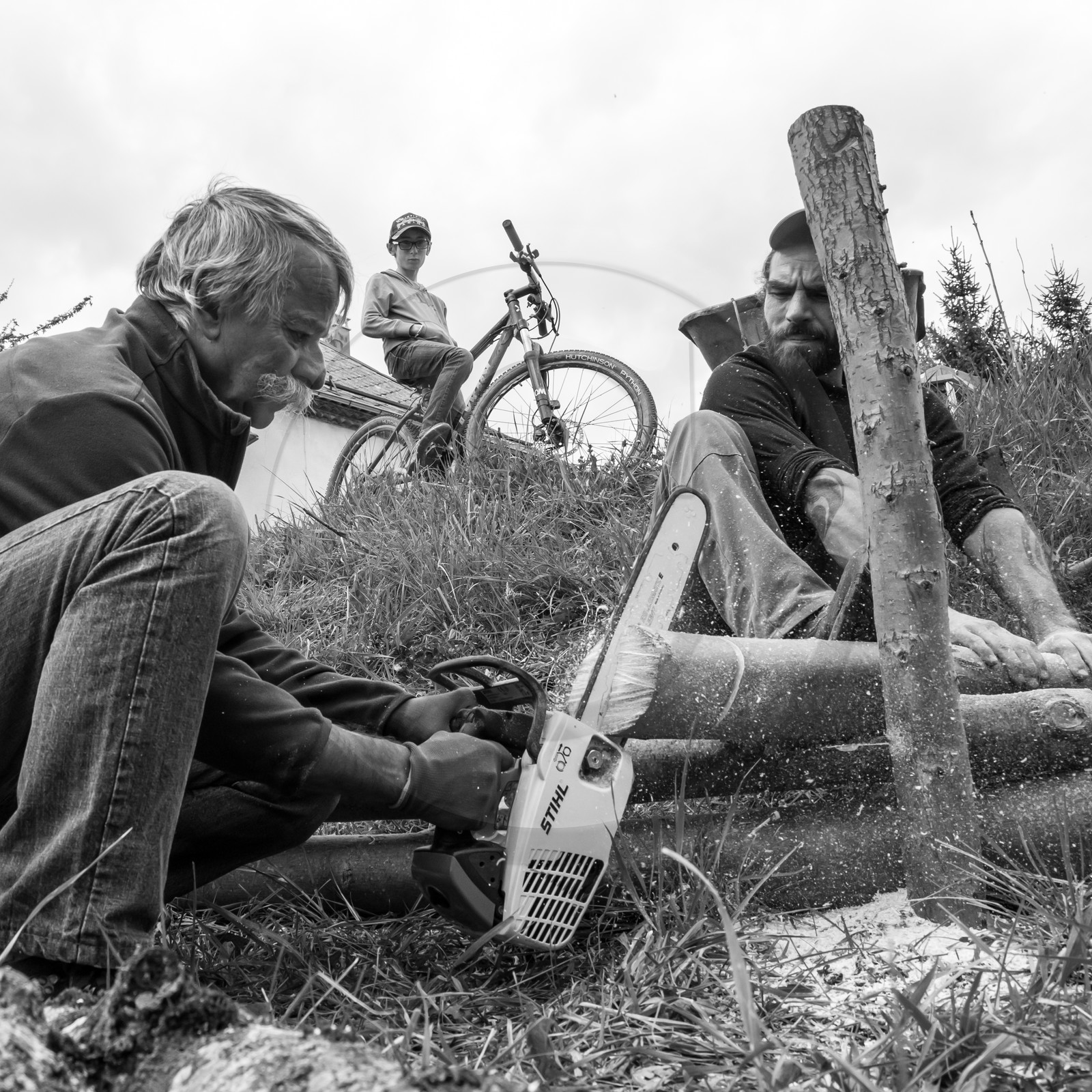 03 mai 2017 - Bac, semis et plantations 03 mai 2017 - Bac, semis et plantations