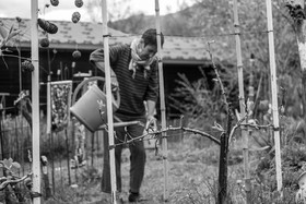 23 avril 2025 : Des oiseaux et des plantes