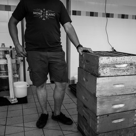 L'extraction du miel