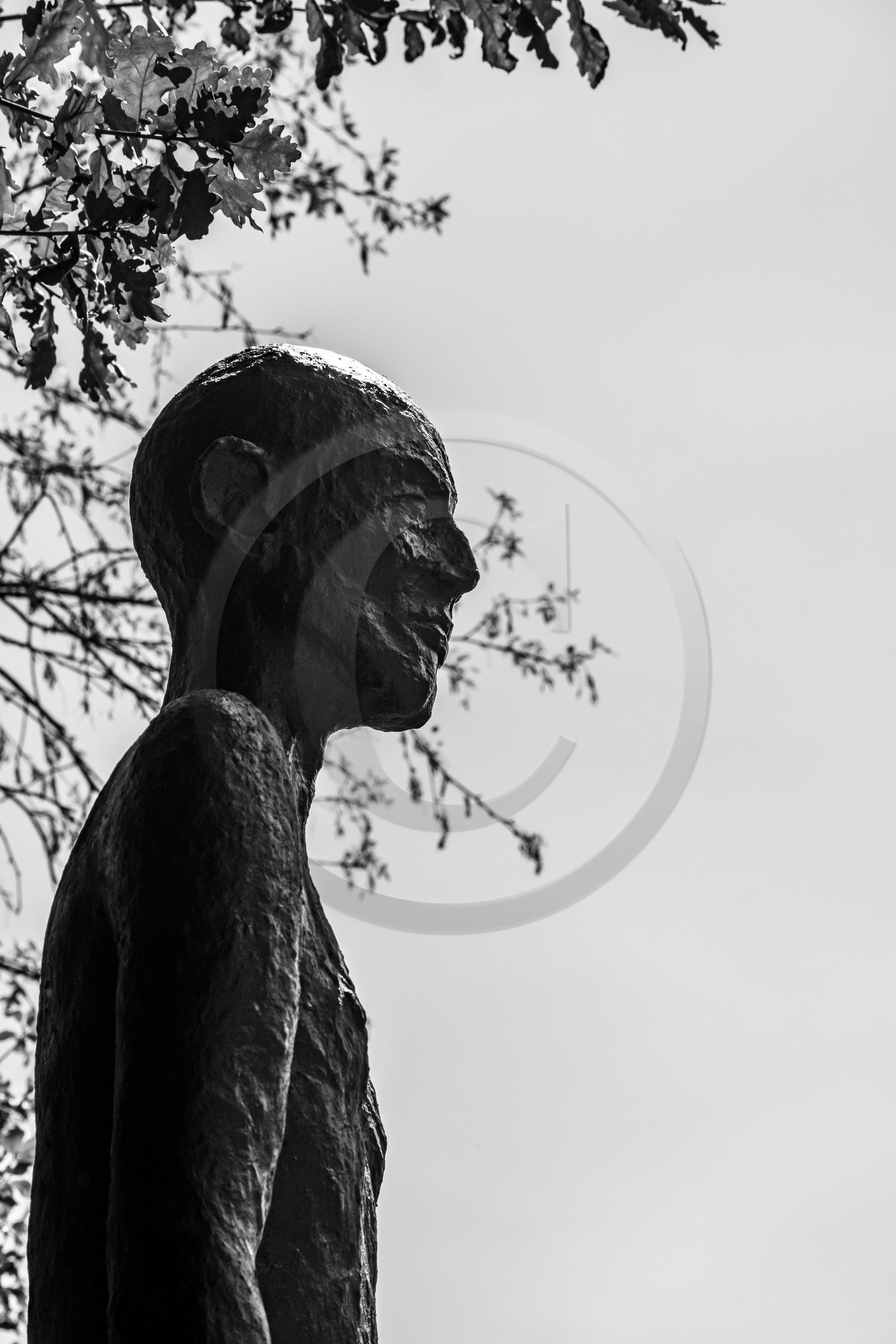 Exposition La forêt d'hommes, une création de Barbara Fougnon, artiste plasticienne Exposition La forêt d'hommes, une création de Barbara Fougnon, artiste plasticienne