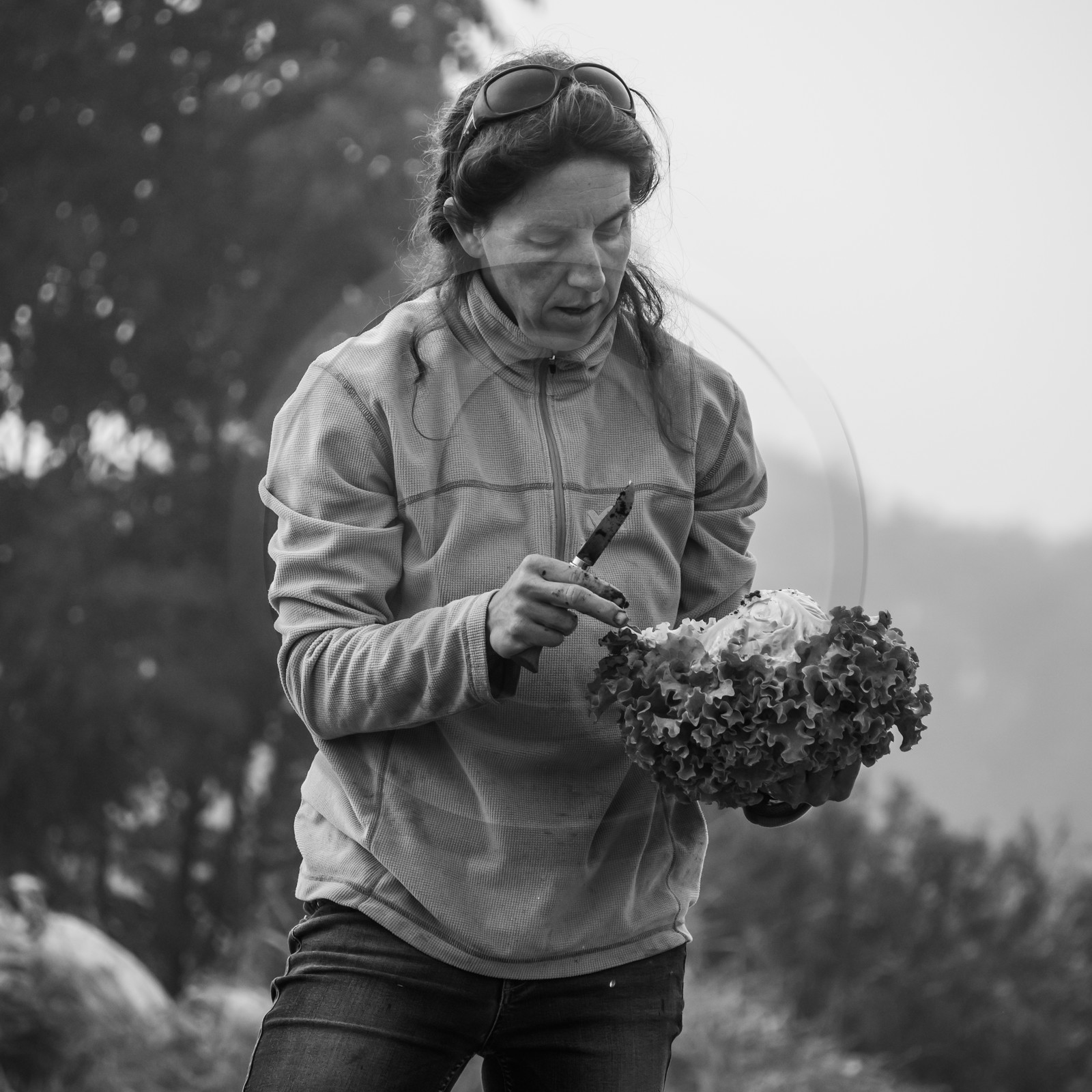 Maraichage biologique dans le Champsaur