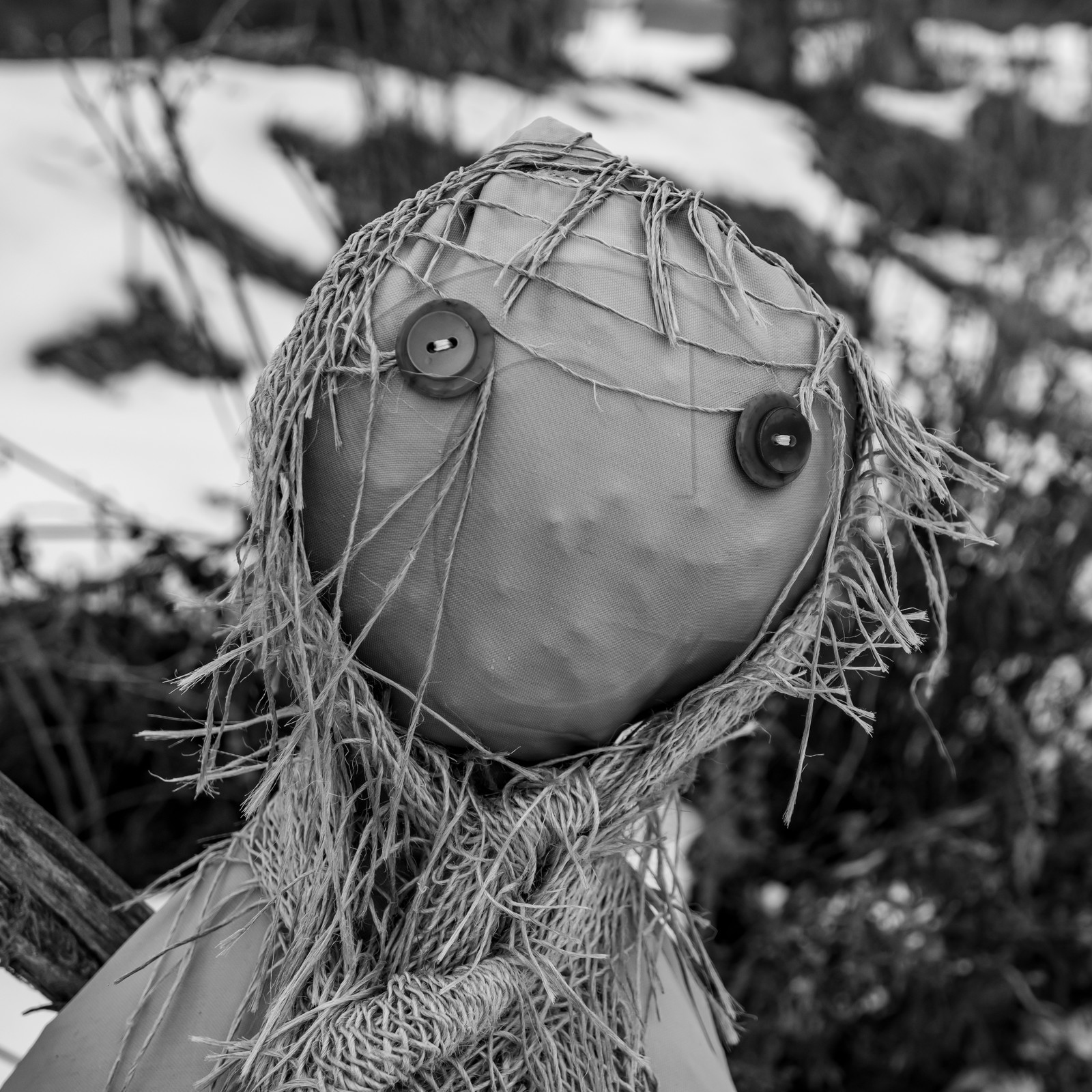 21 janvier 2021 : l'Ouort sous la neige 21 janvier 2021 : l'Ouort sous la neige