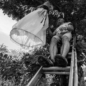 23 juin 2021 : Une après-midi à l'Ouort