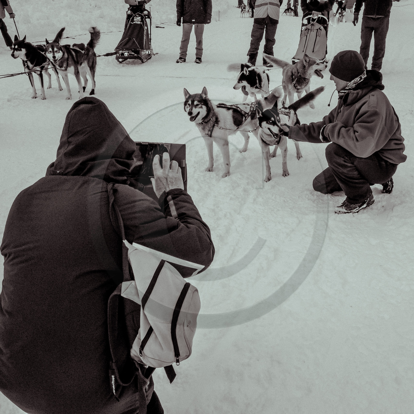 La Valgaude Traineau 2015