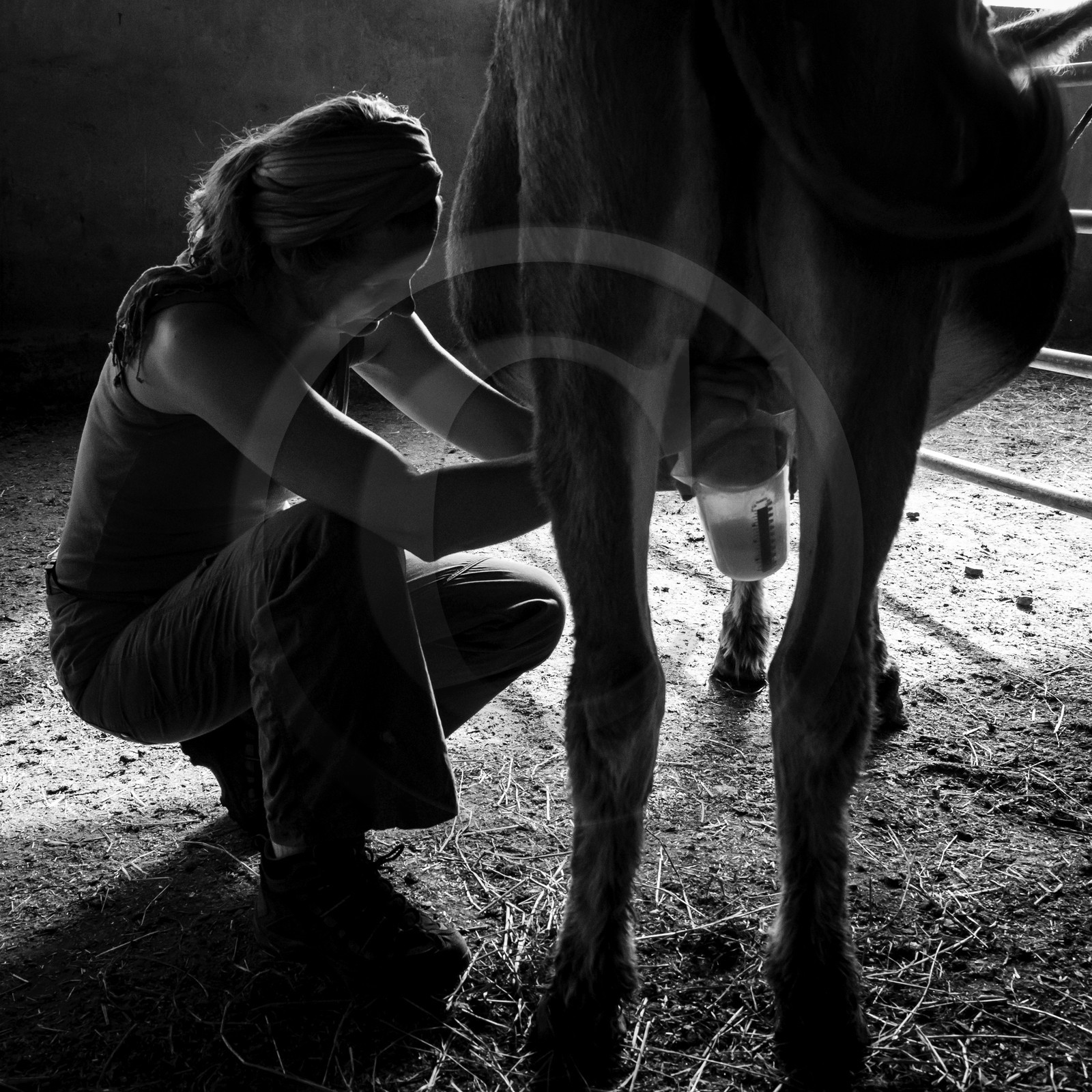 L'asinerie Le sentier des ânes