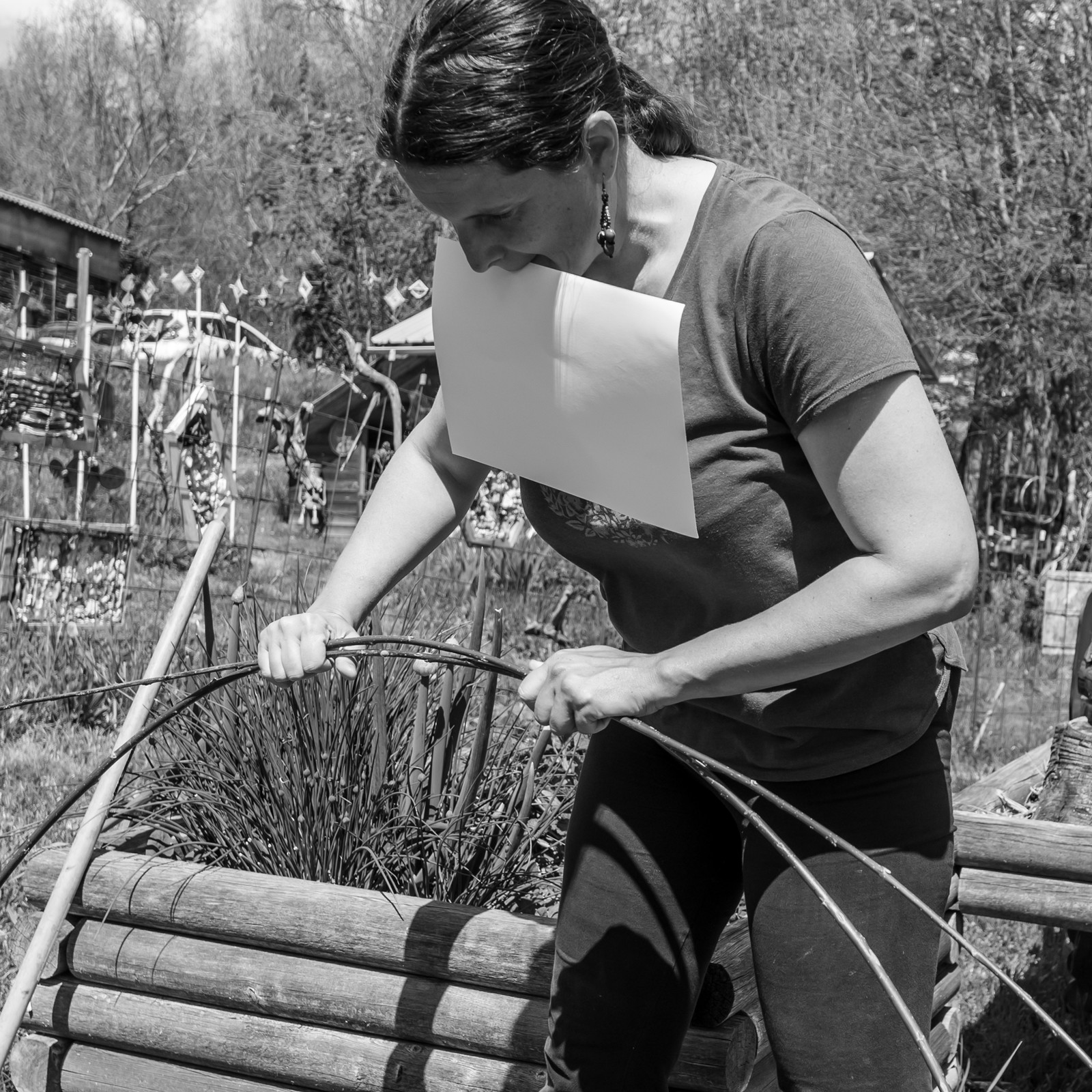 30 avril 2025 : Un oiseau en osier