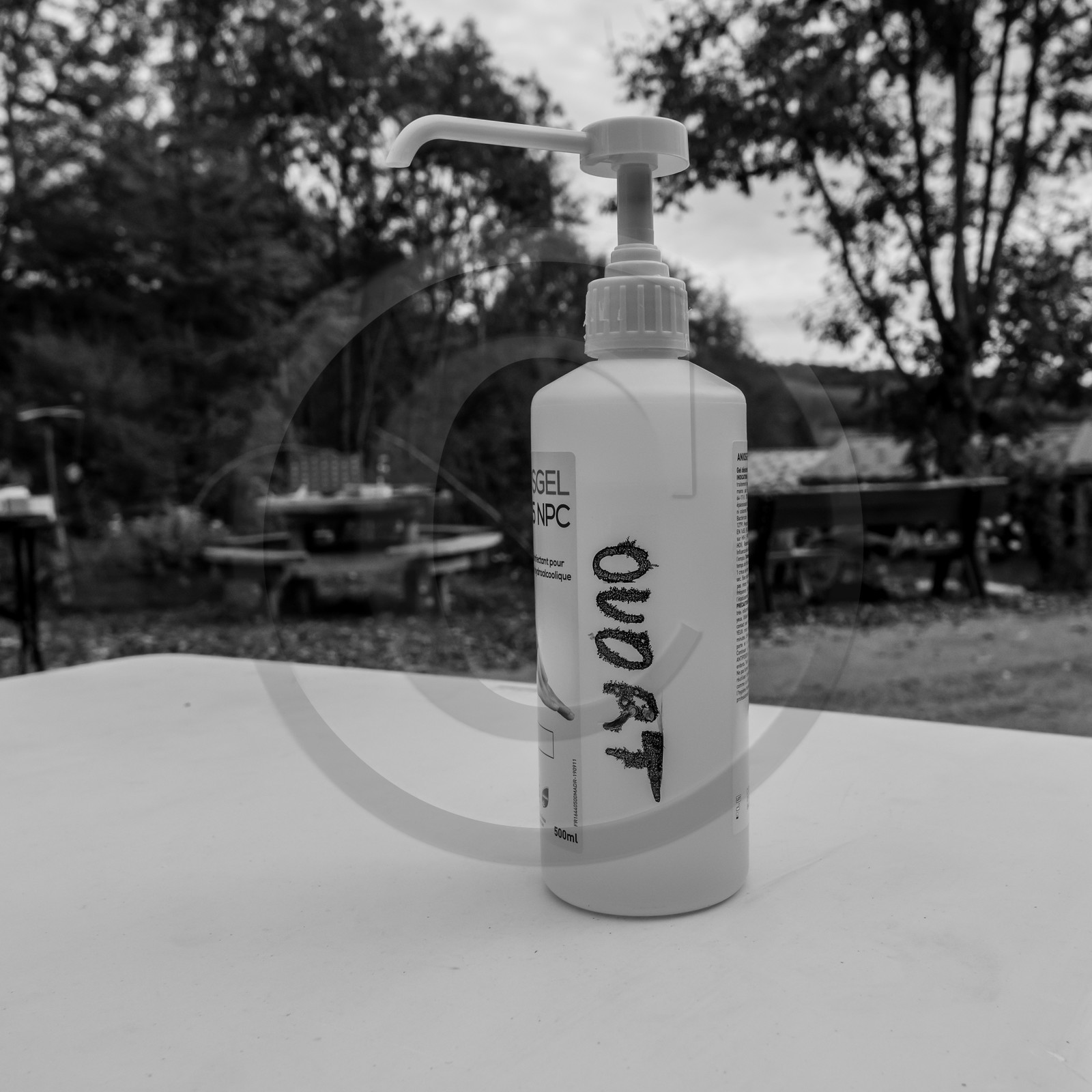 Semis, tournesols et jeux Semis, tournesols et jeux