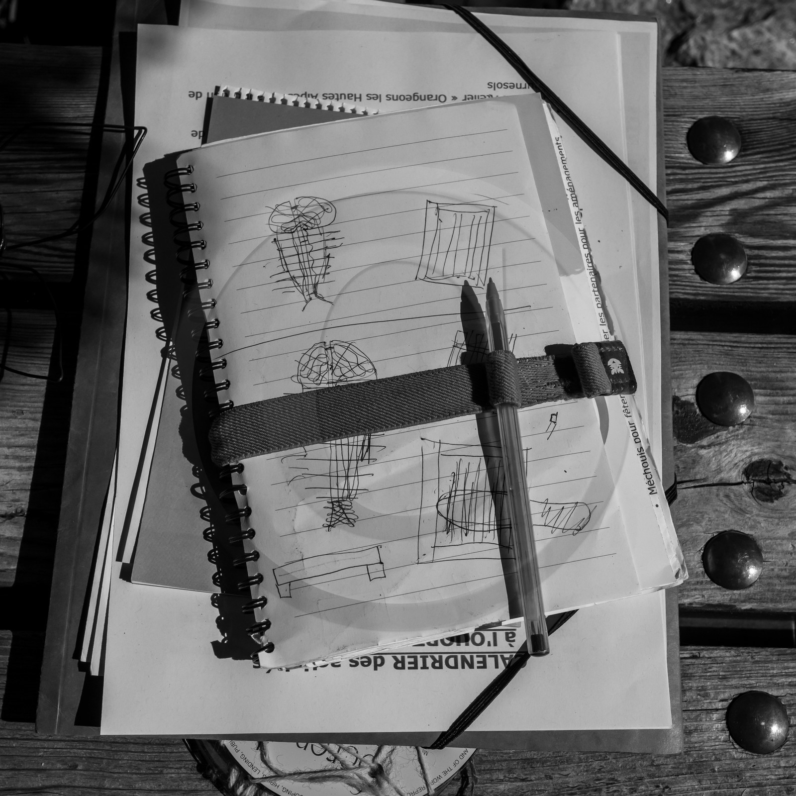 Activités au jardin