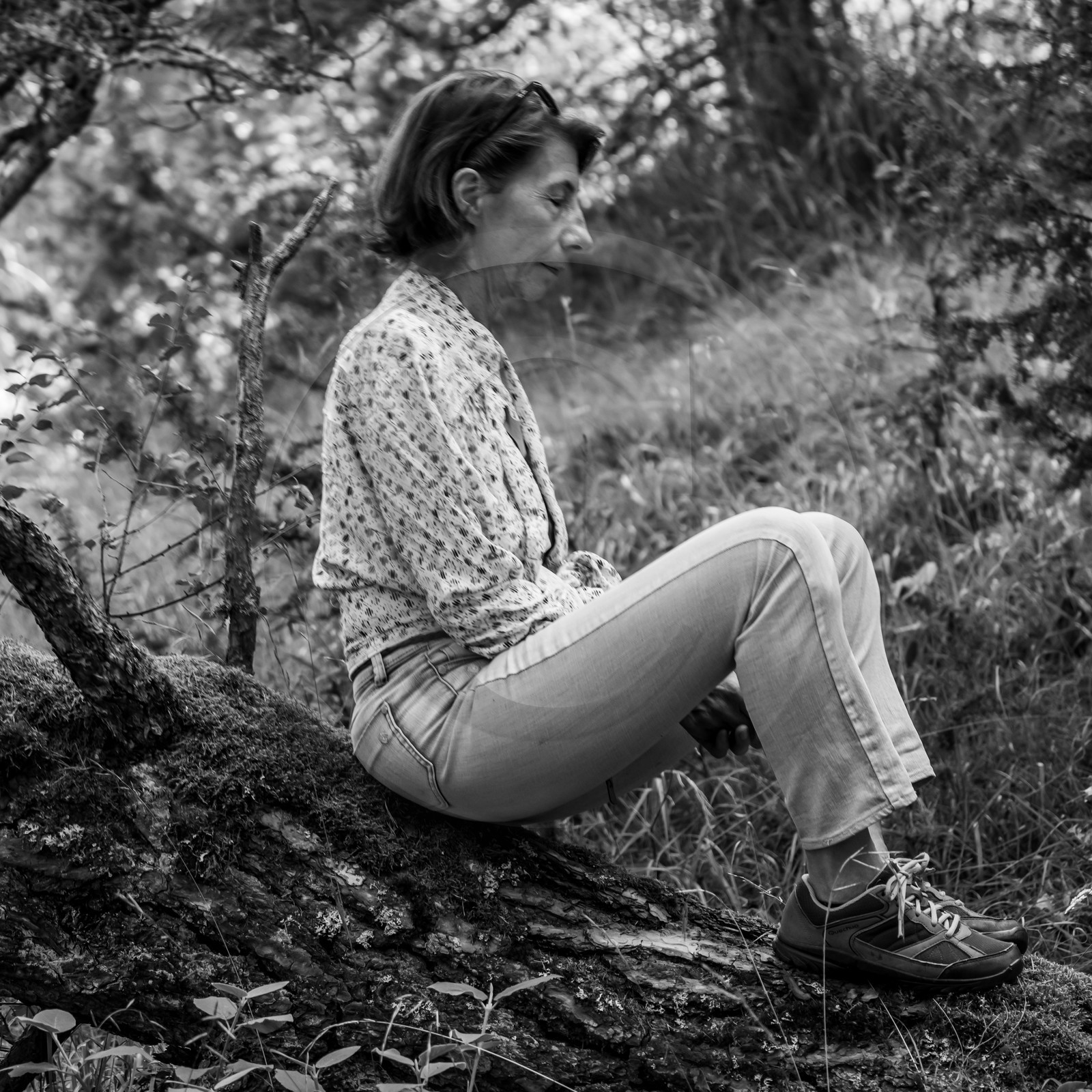 Arpenter le paysage avec Martin de la Soudière