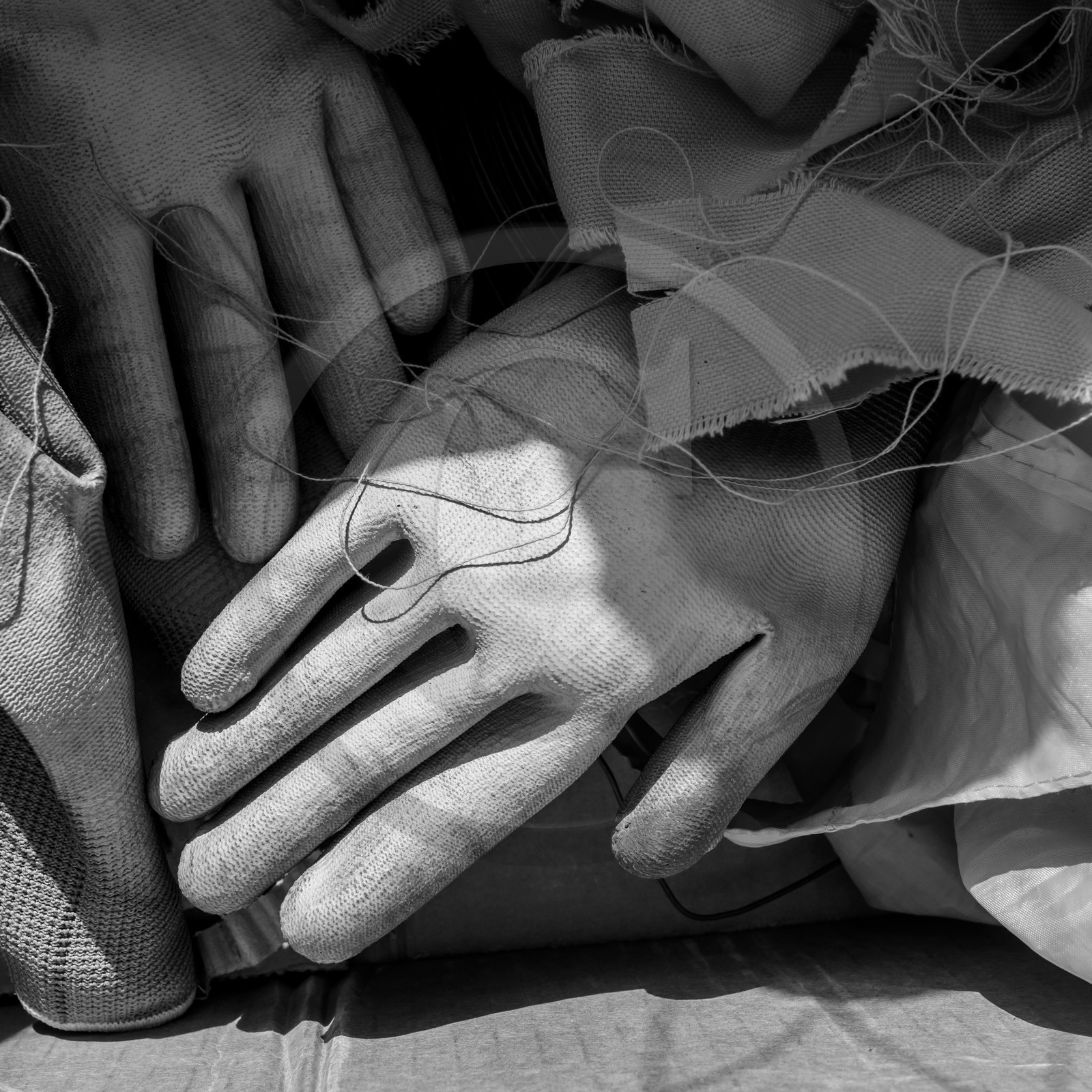 Semis, tournesols et jeux Semis, tournesols et jeux