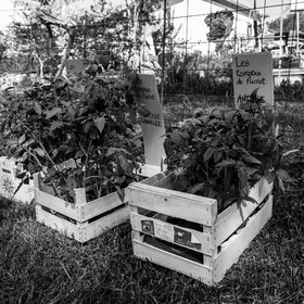 14 mai 2023 : Vide-Jardin