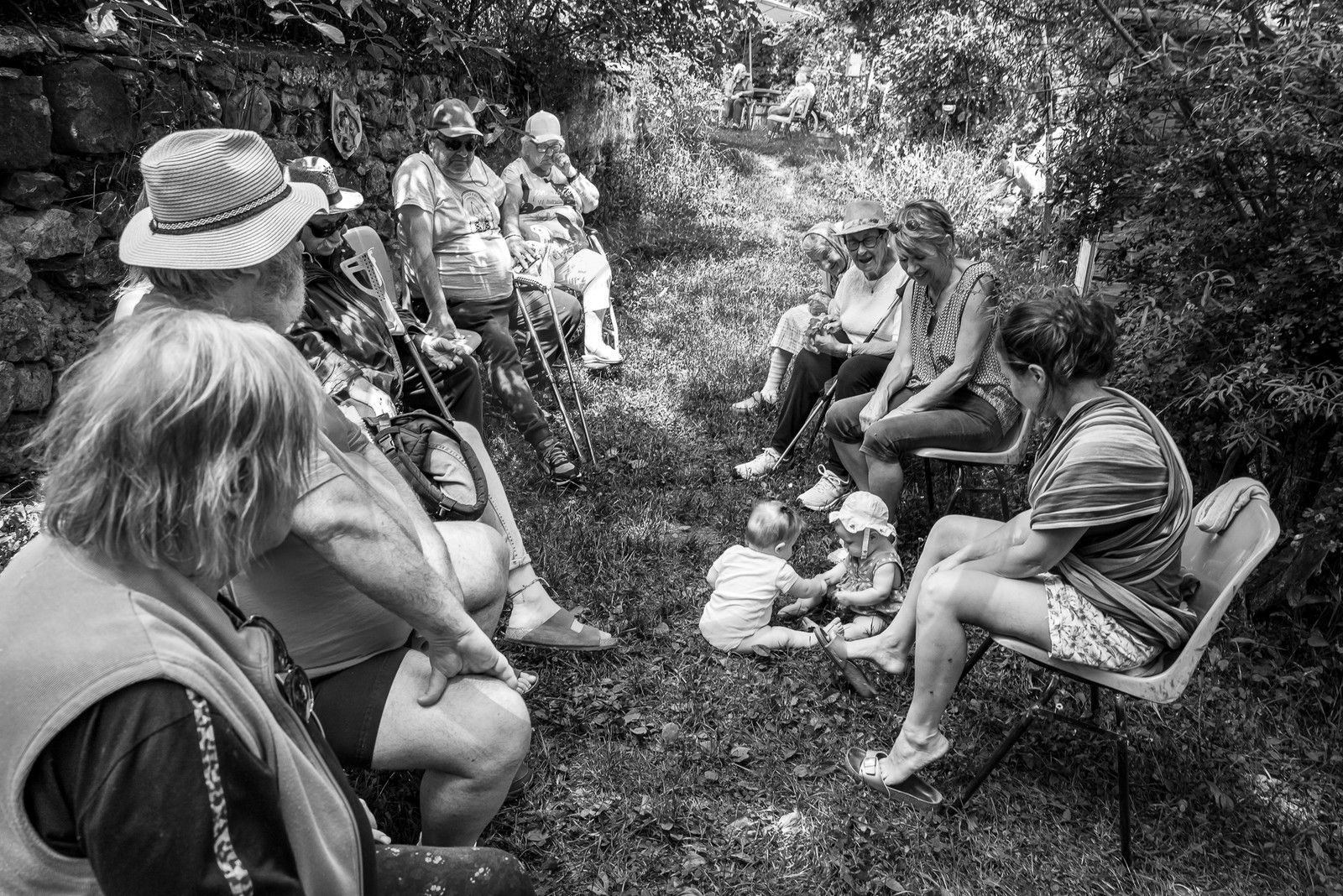 21 juin 2023 : Découverte botanique