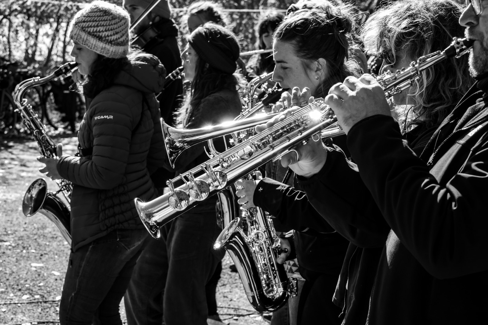 26 octobre 2025 : Les oiseaux de trottoir