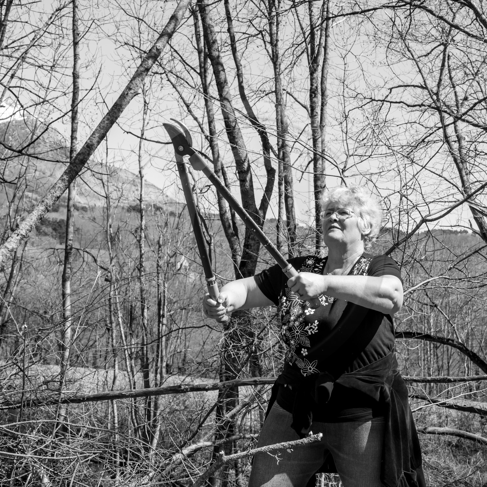 Nettoyage du terrain - Coupe du bois - 29 03 17