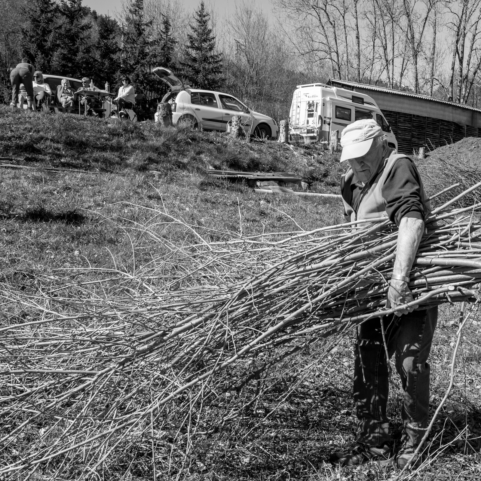 Nettoyage du terrain - Coupe du bois - 29 03 17