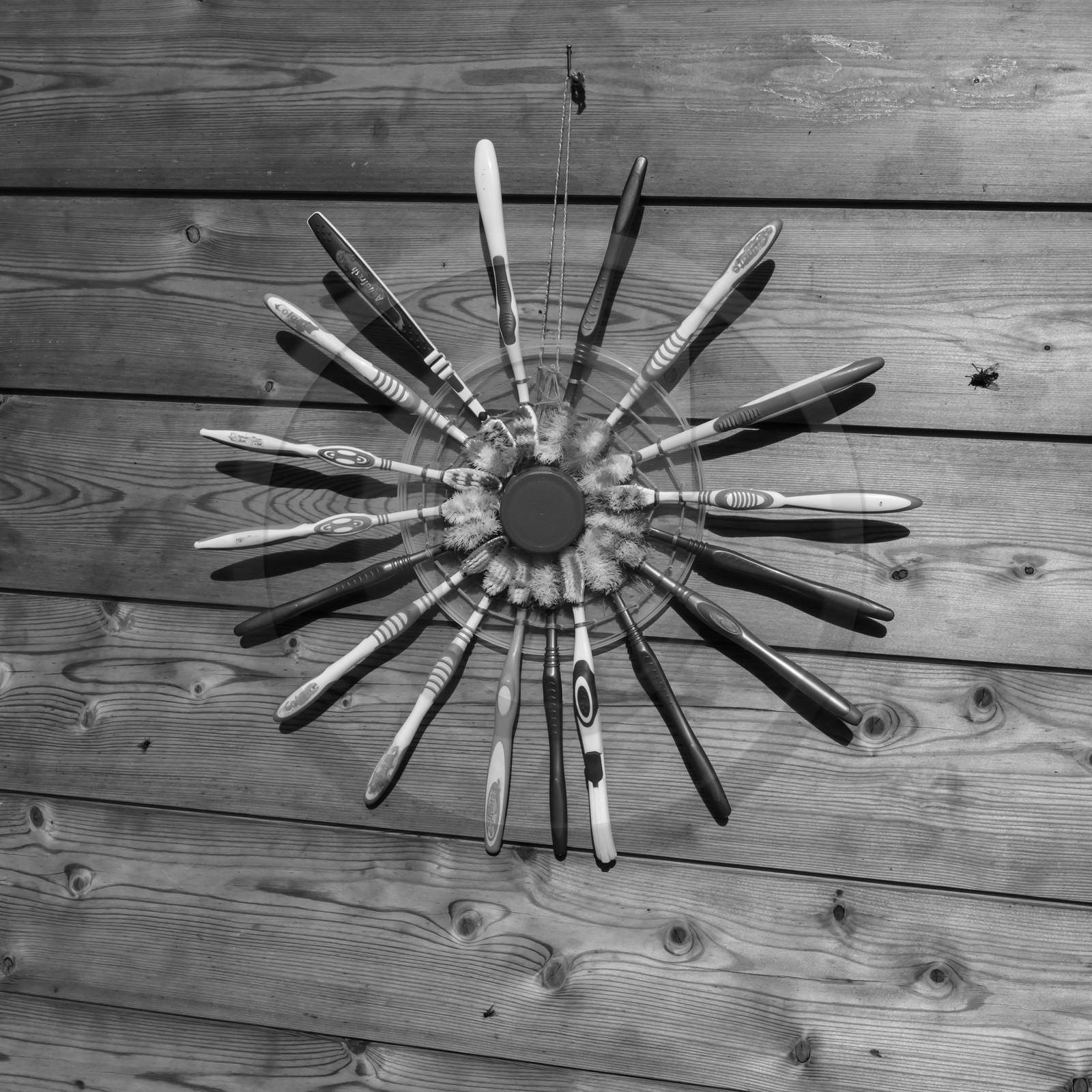 25 septembre 2019 : Promenade en calèche 25 septembre 2019 : Promenade en calèche