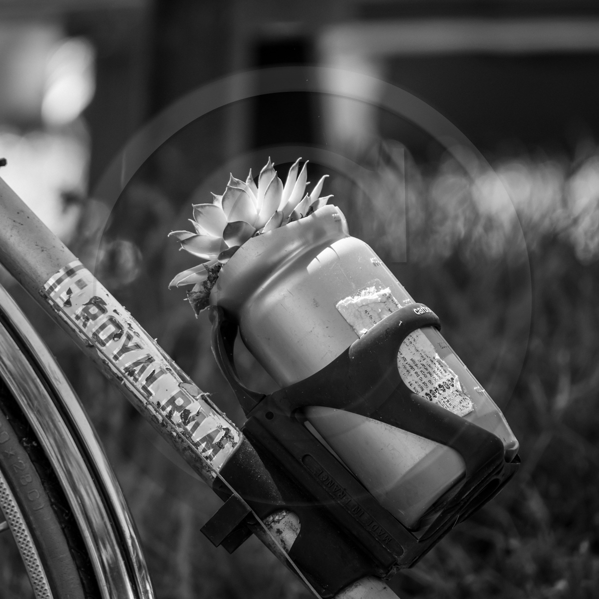 10 juin 2022 : 3ème journée des aidants 10 juin 2022 : 3ème journée des aidants