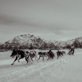 La Valgaude Traineau 2015
