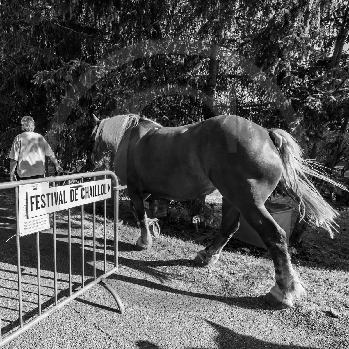 Jeanne Bleuse - Festival de Chaillol Jeanne Bleuse - Festival de Chaillol