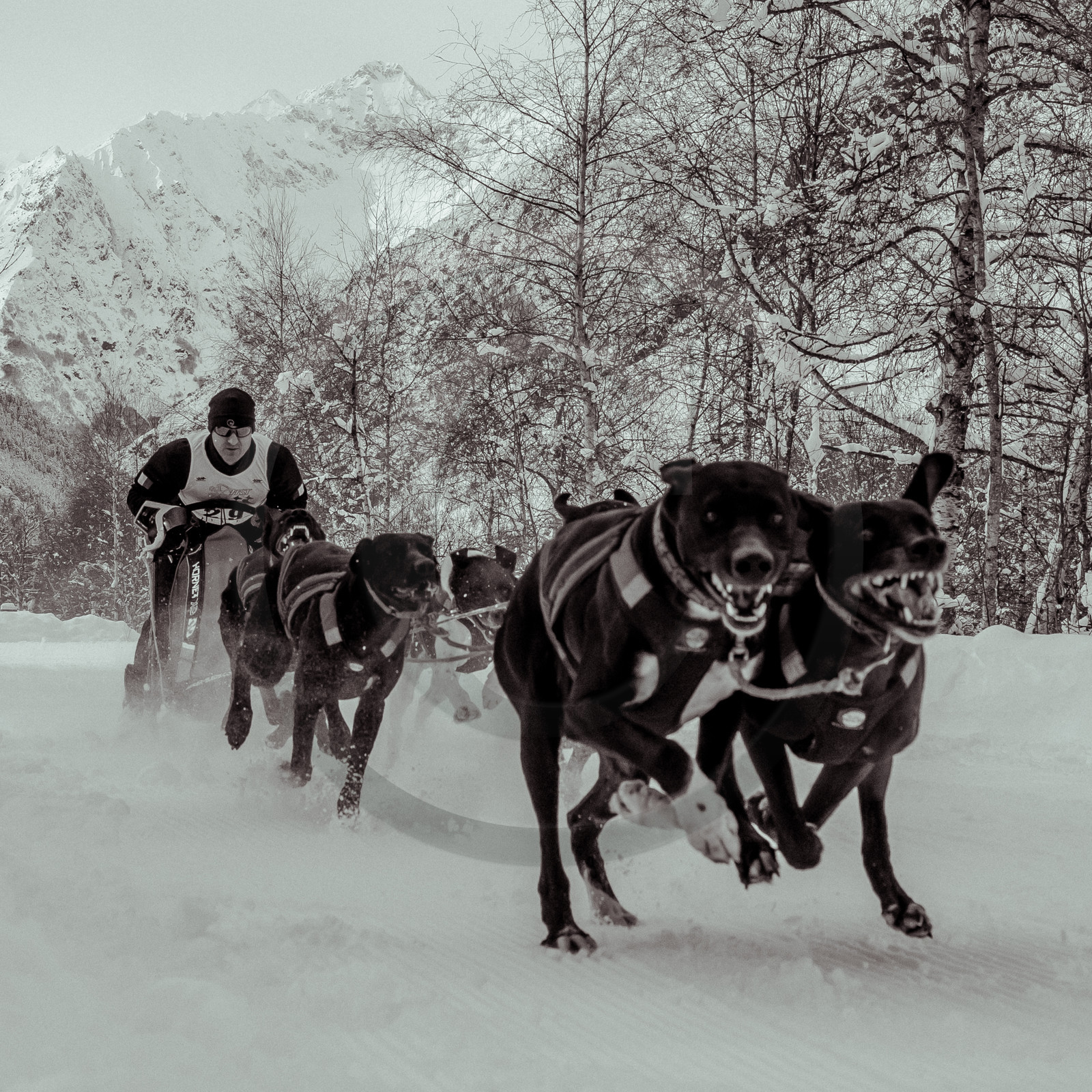 La Valgaude Traineau 2015