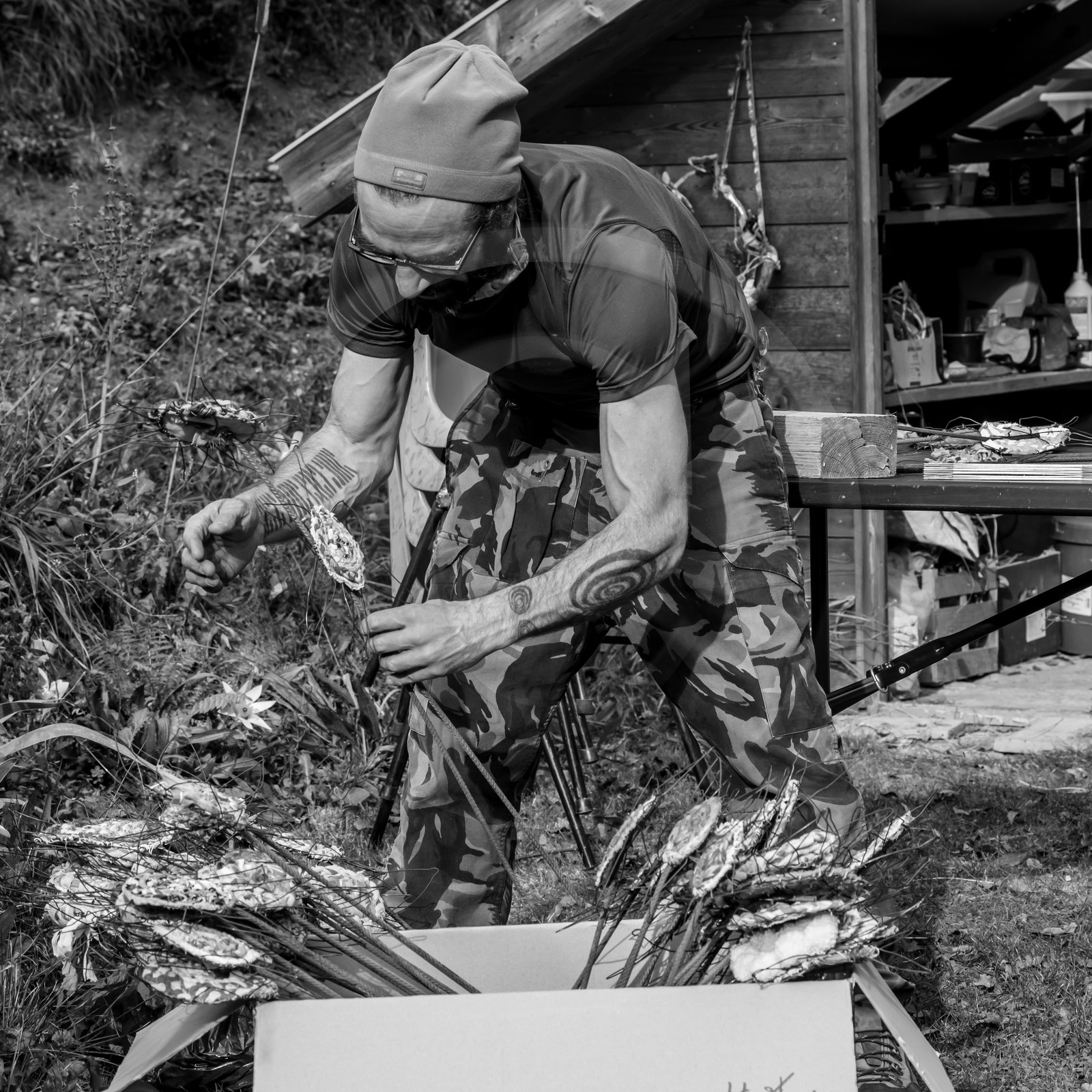 Semis, tournesols et jeux Semis, tournesols et jeux