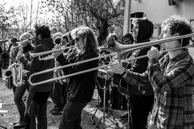 26 octobre 2025 : Les oiseaux de trottoir