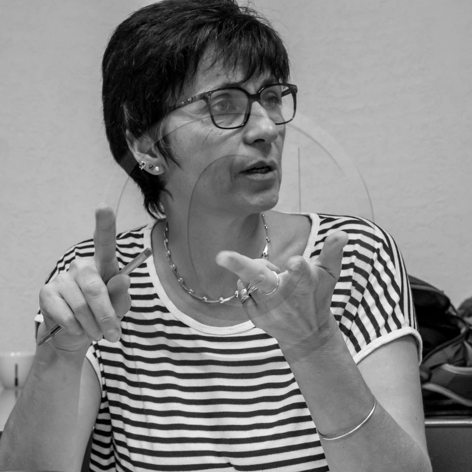 Réunion à La Fare le 27 01 2017