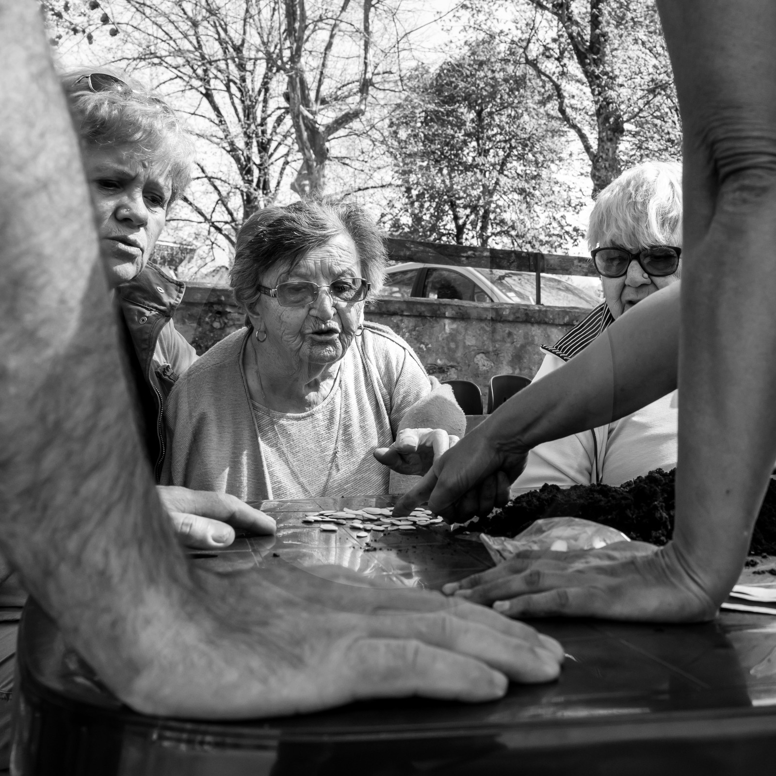 Semis des courges Semis des courges