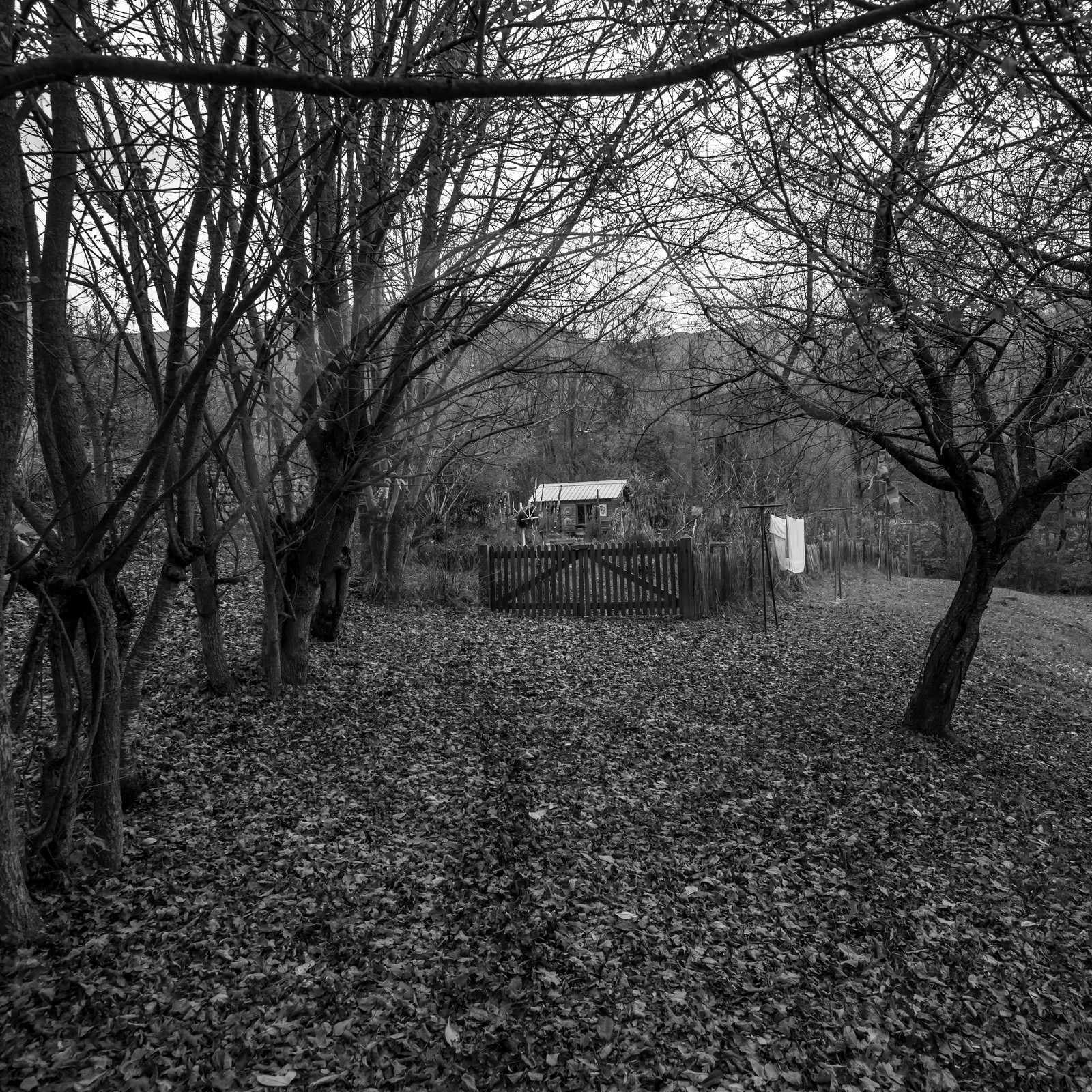 10 novembre 2021 : Une réunion et des crêpes