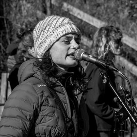 26 octobre 2025 : Les oiseaux de trottoir