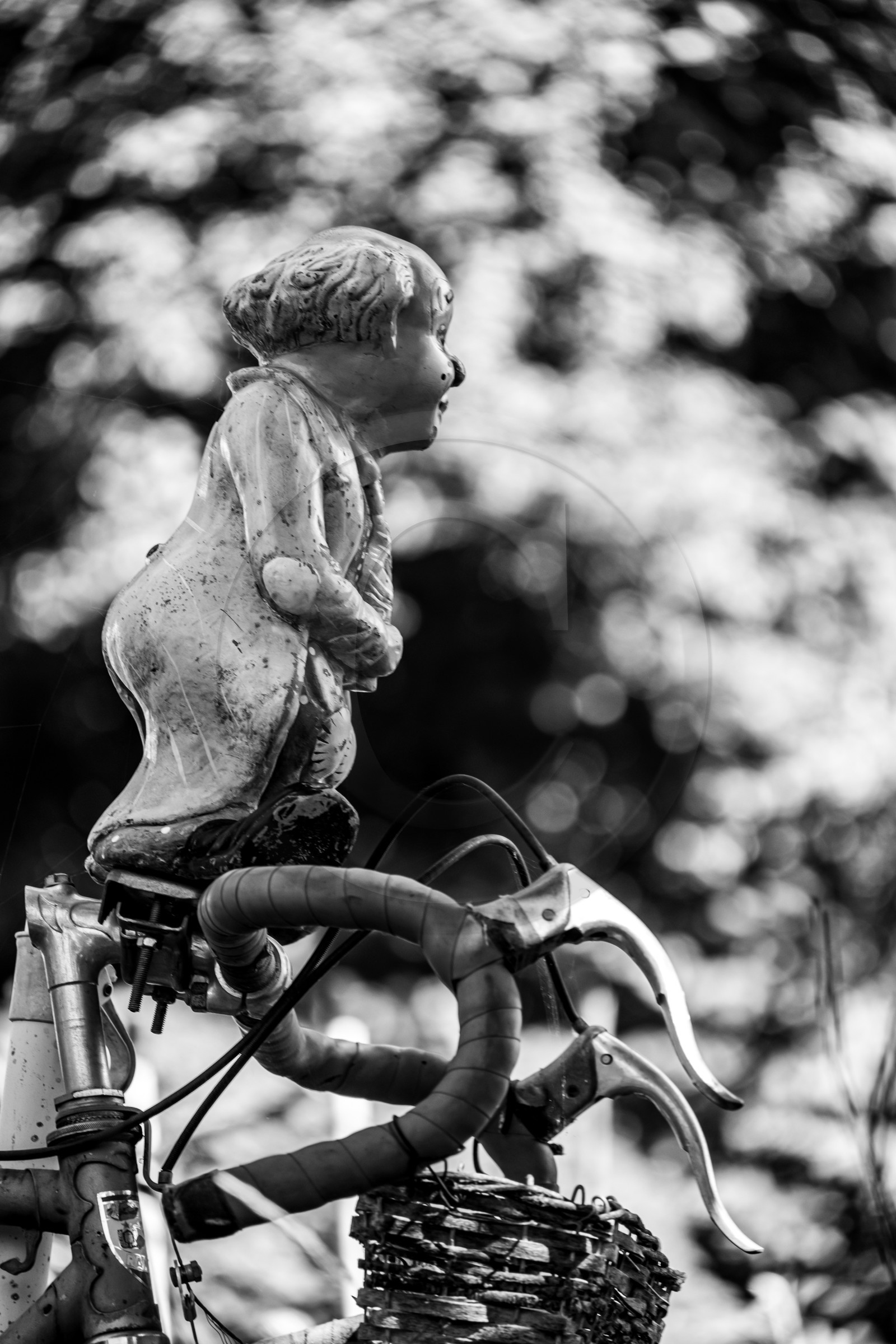 23 aout 2024 : Journée des aidants, aidés et anciens aidants 23 aout 2024 : Journée des aidants, aidés et anciens aidants