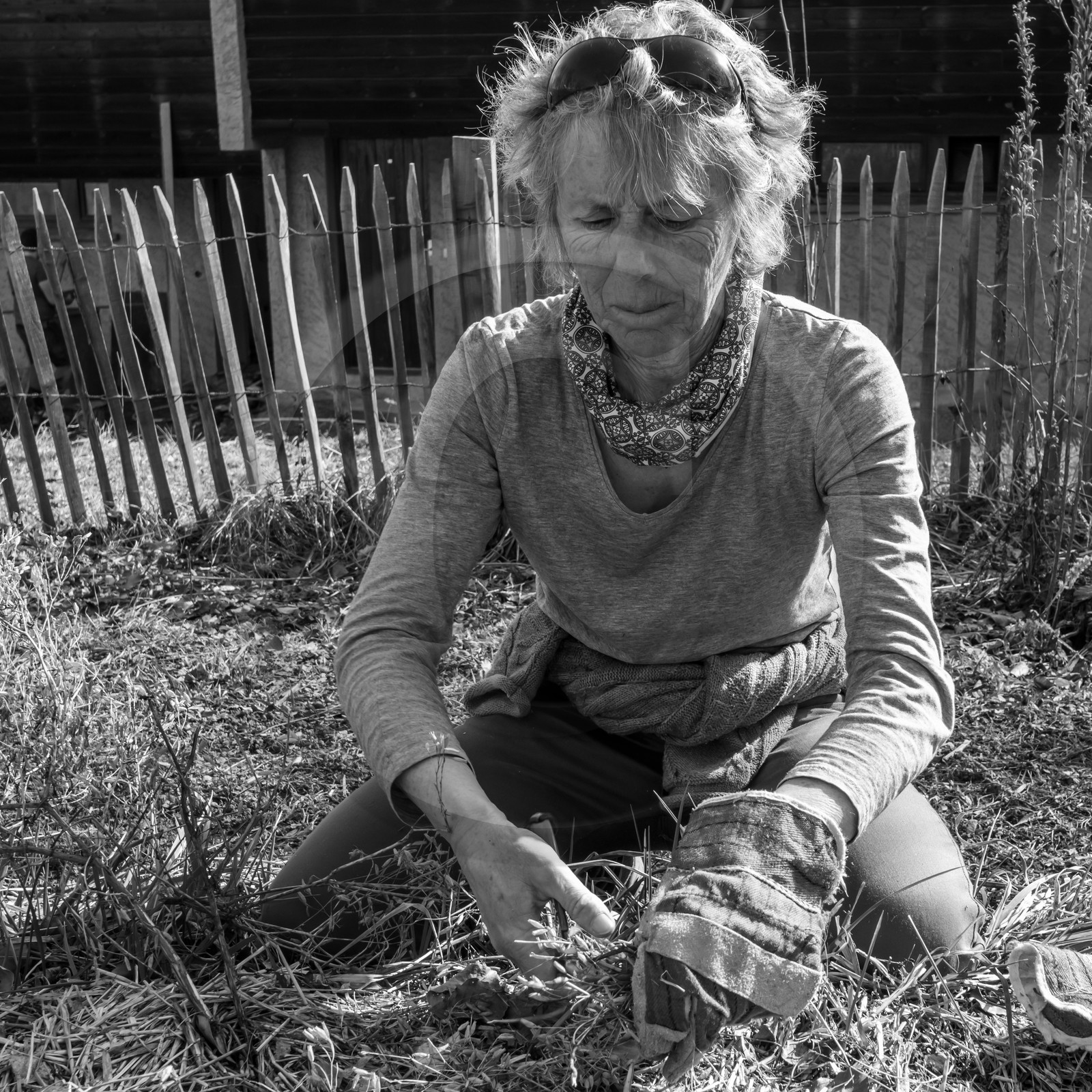 24 février 2021 : on taille, on prépare le jardin... 24 février 2021 : on taille, on prépare le jardin...