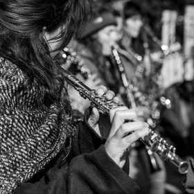 26 octobre 2025 : Les oiseaux de trottoir
