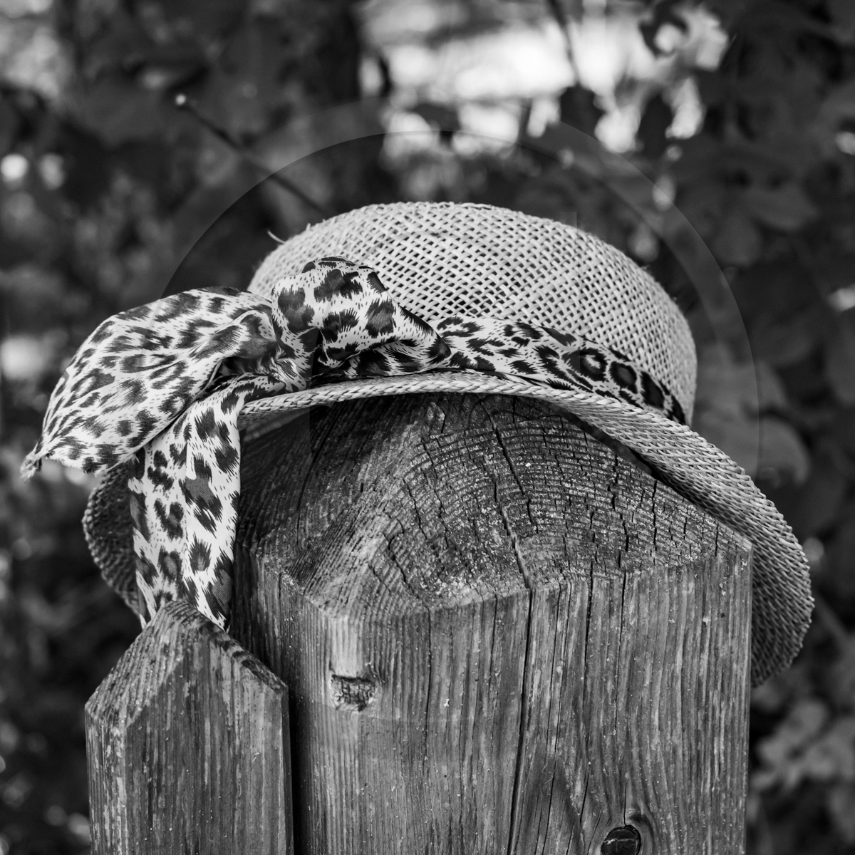 La cantine de Bernie