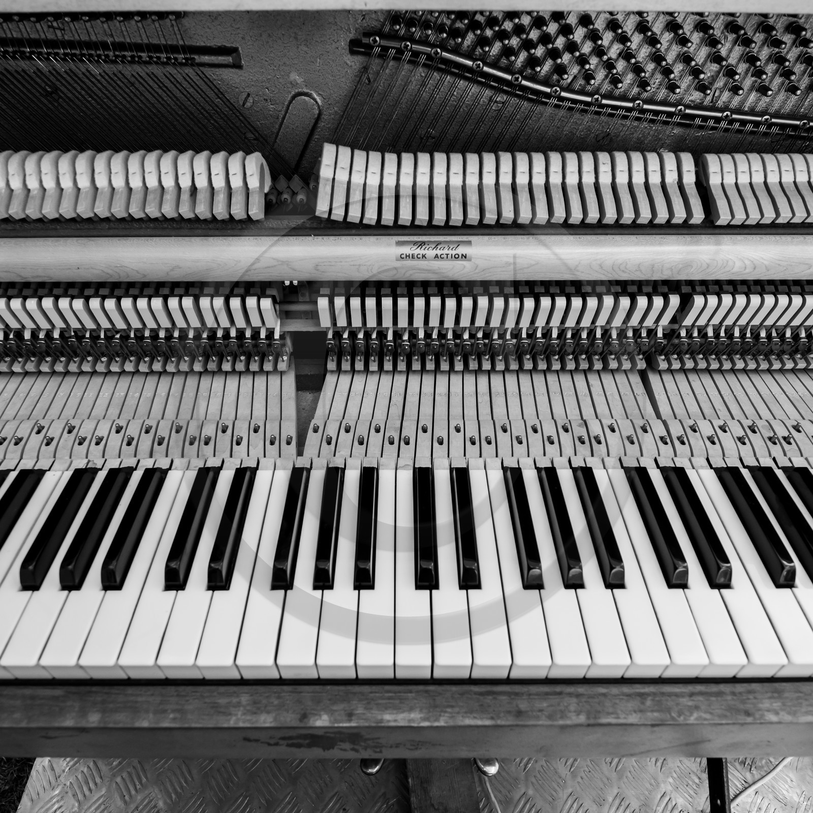 Animation musicale avec Philippe Séranne Animation musicale avec Philippe Séranne