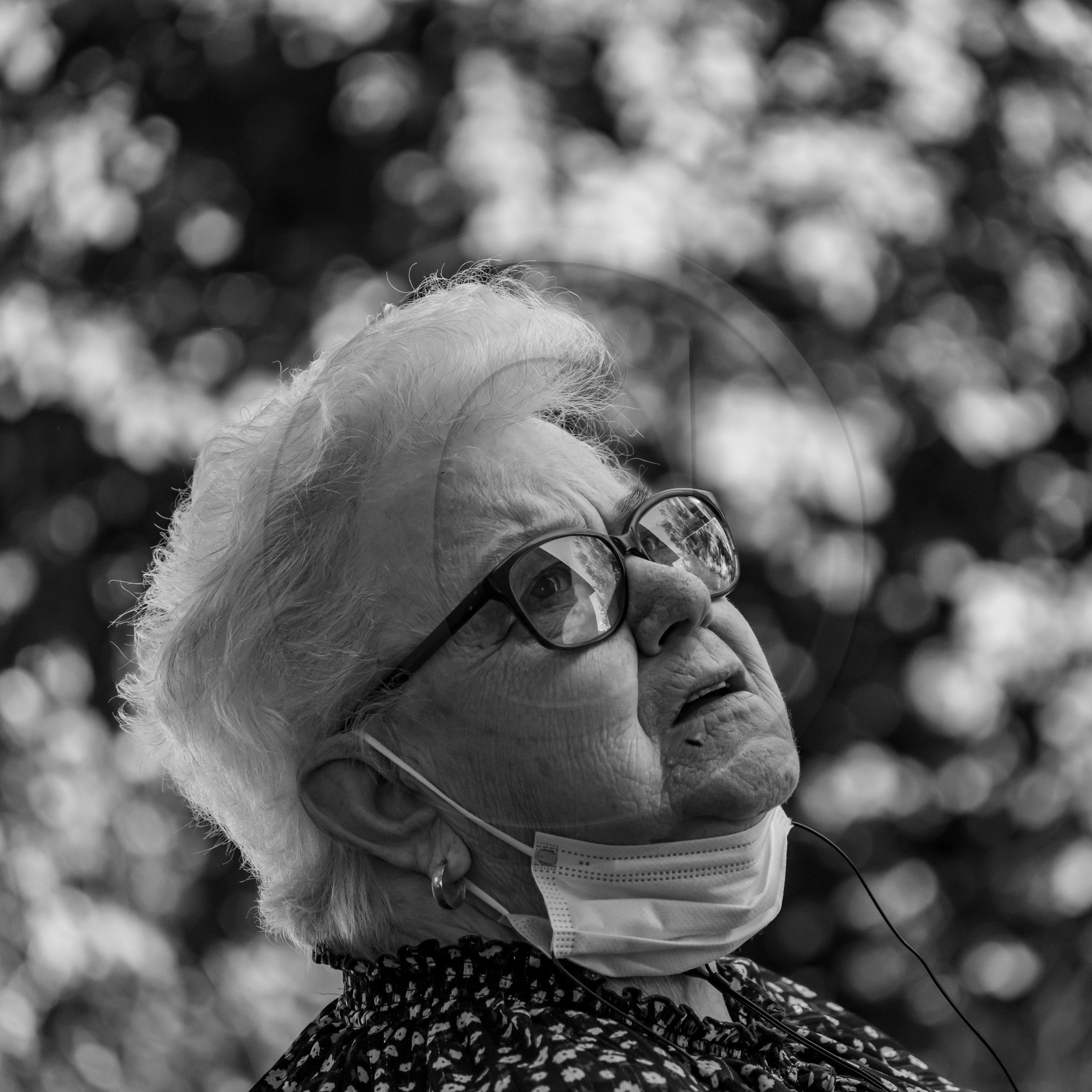 01 septembre 2021 : Promenade en cariole et contes