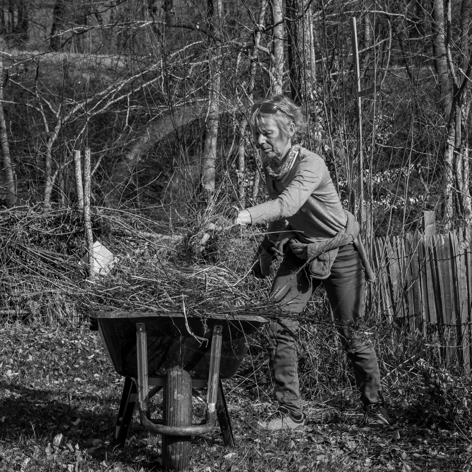 24 février 2021 : on taille, on prépare le jardin...