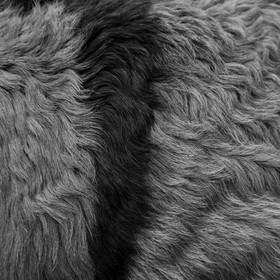 L'asinerie Le sentier des ânes