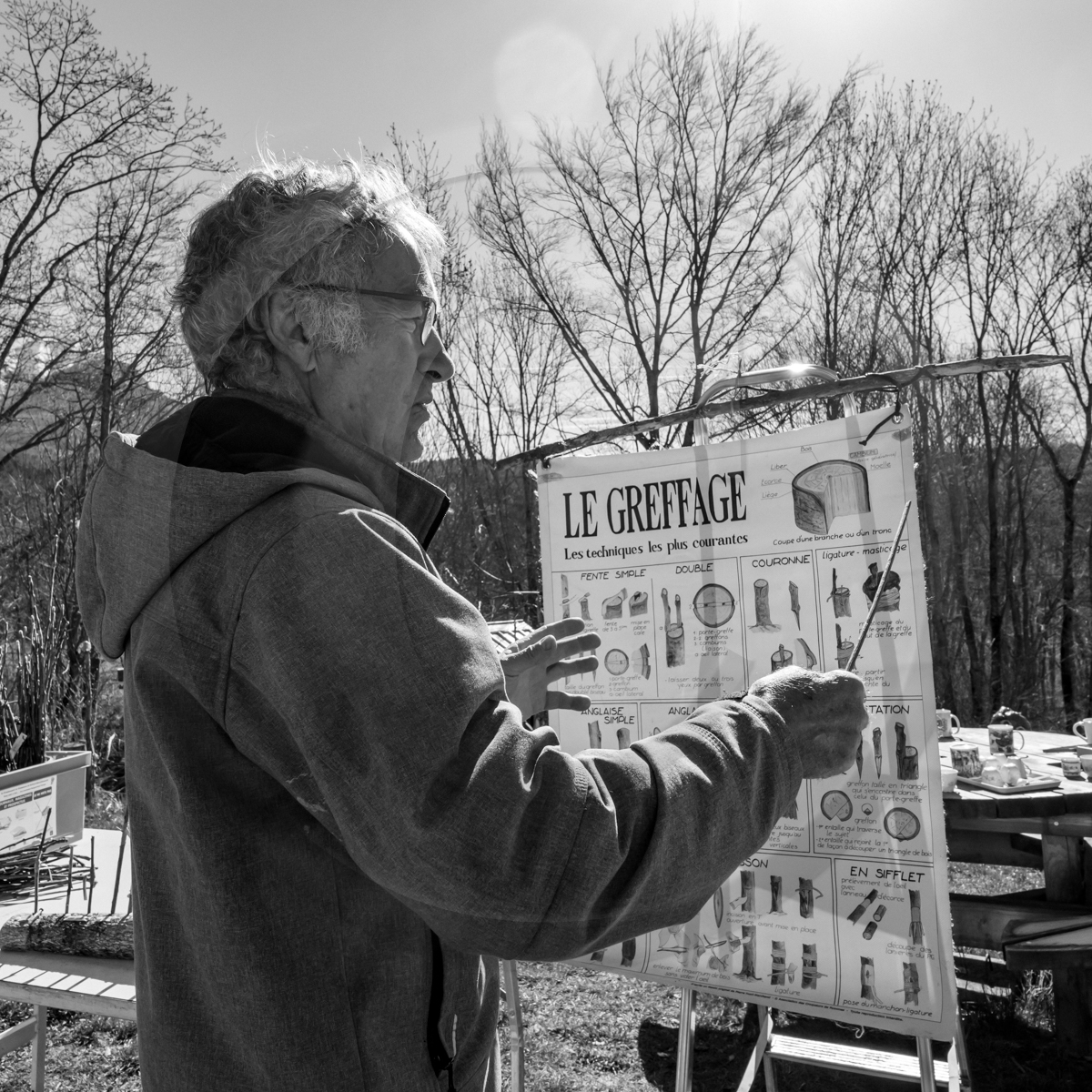 10 avril 2022 : Initiation à la greffe d'arbres fruitiers
