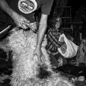 Le mohair arc en ciel