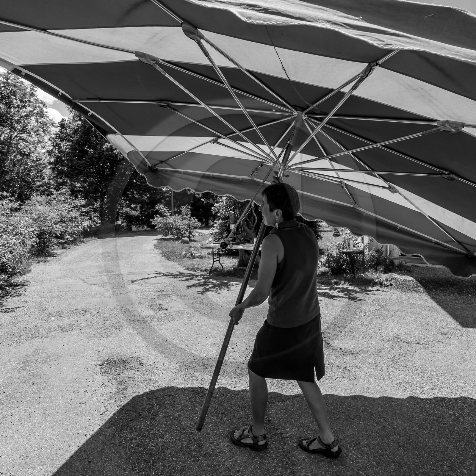 23 juin 2021 : Une après-midi à l'Ouort