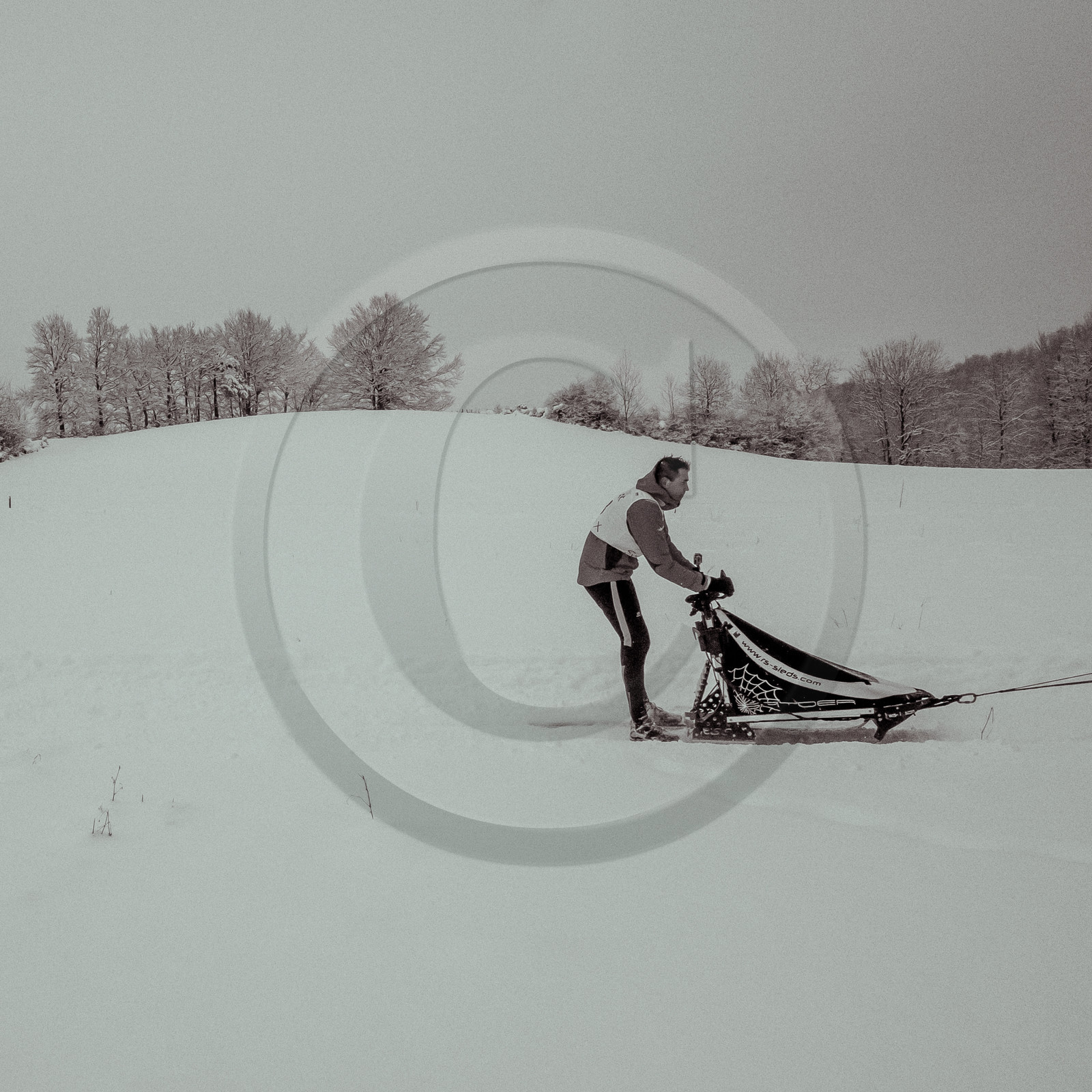 La Valgaude Traineau 2015 La Valgaude Traineau 2015