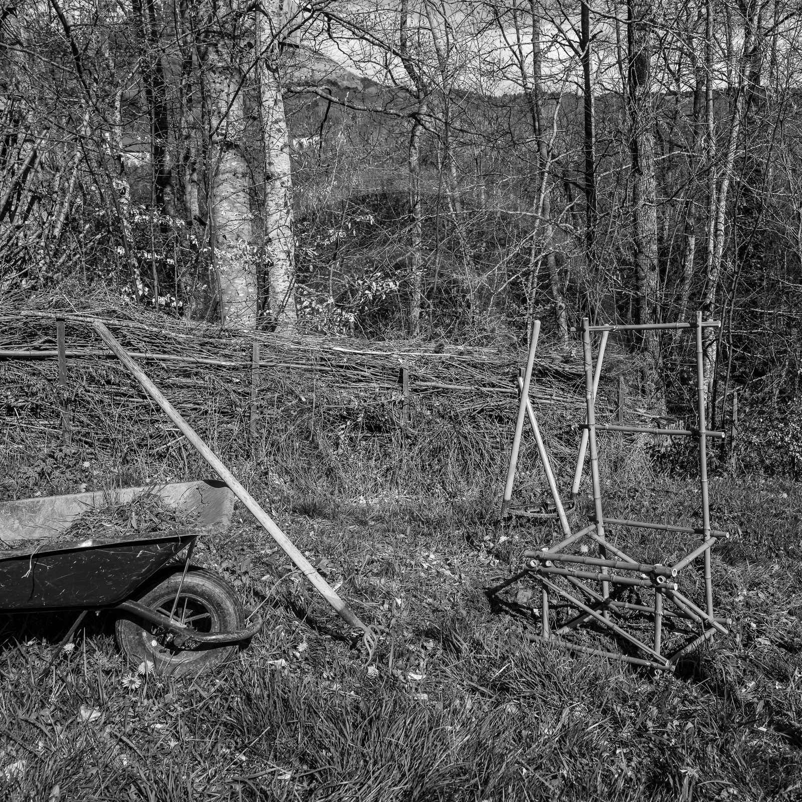 10 avril 2024 : Osier, laine et taille