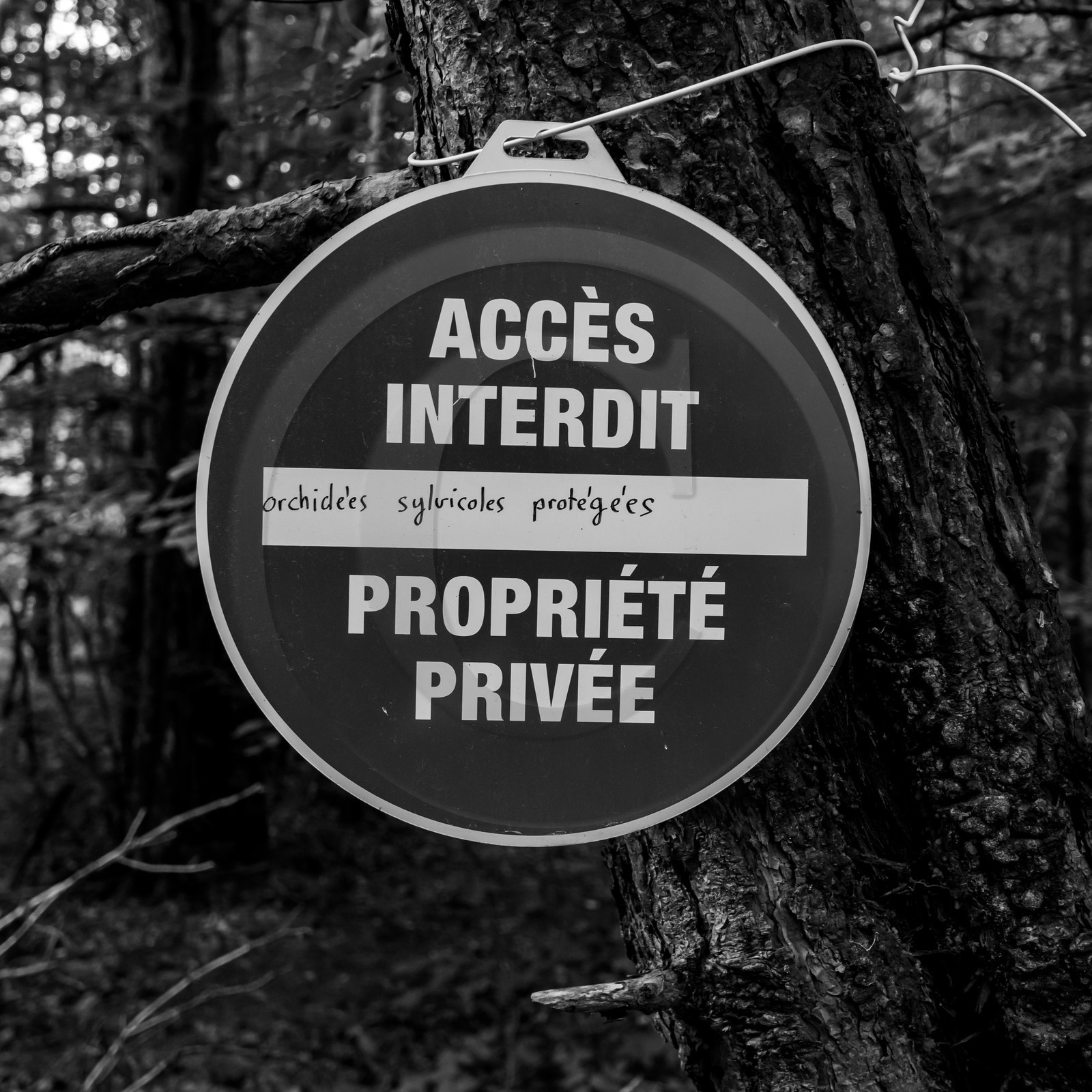 04 juillet 2021 : Journée Art & Nature