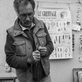 27 octobre 2019 : pommes, soupes et gâteaux